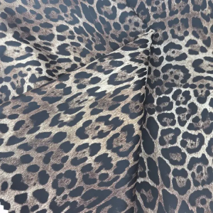 leopard4